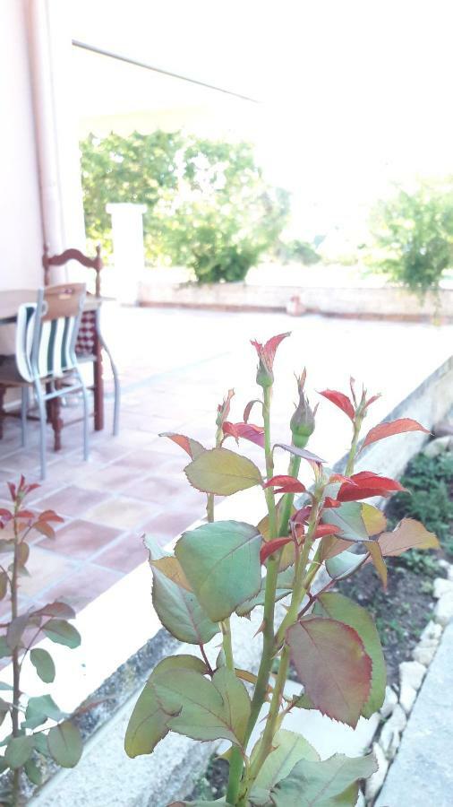 Country House Kefalonia Dhorizáta Exterior foto